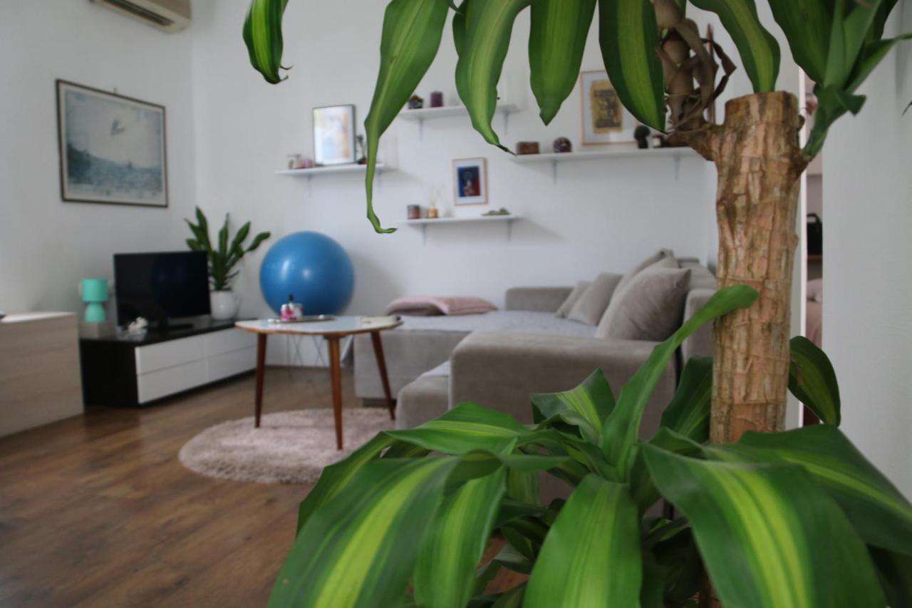 Cosy Apartment - 10 Minutes Walk To Sea Задар Екстериор снимка